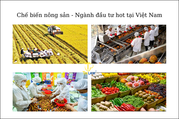 Chế biến nông sản – Ngành đầu tư hot tại Việt Nam Chế biến nông sản – Ngành đầu tư hot tại Việt Nam