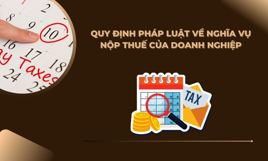 Quy định pháp luật về các loại thuế doanh nghiệp phải nộp