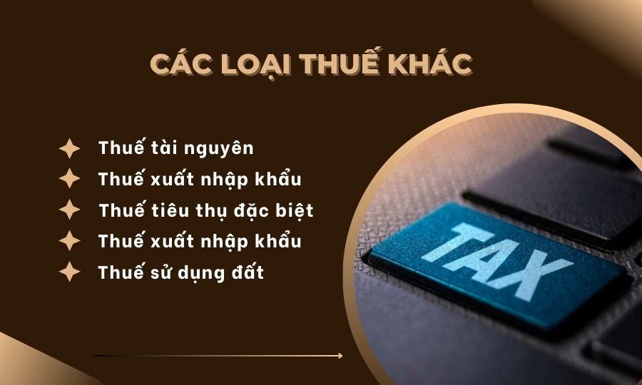 Các loại thuế khác trong các loại thuế doanh nghiệp phải nộp