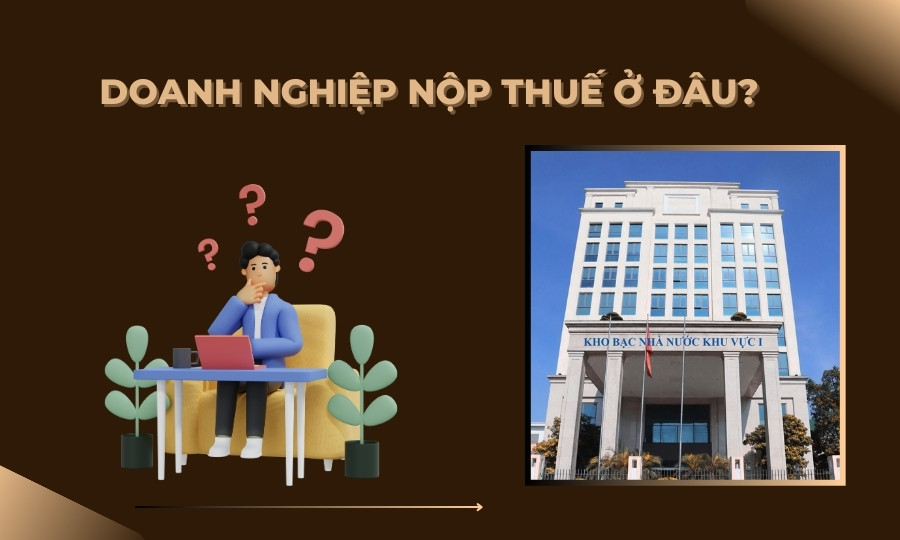 Doanh nghiệp nộp thuế ở đâu