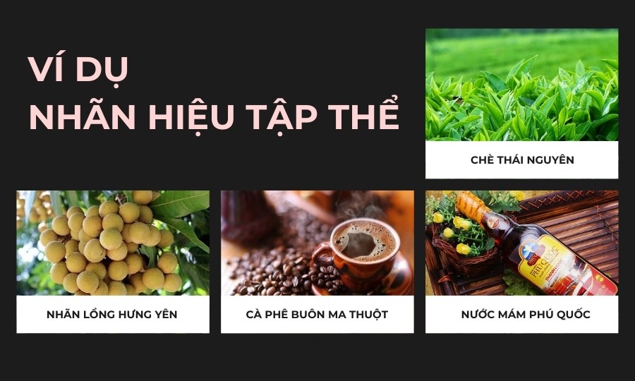 ví dụ về nhãn hiệu tập thể tại Việt Nam