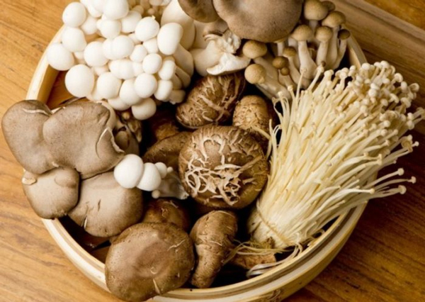 Muốn bán nấm ở siêu thị, doanh nghiệp phải công bố sản phẩm Muốn bán nấm ở siêu thị, doanh nghiệp phải công bố sản phẩm