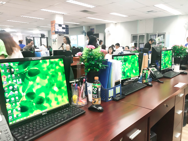 Đây là chương trình Green Day đầu tiên Doanh Nghiệp Đầu Tư tổ chức Đây là chương trình Green Day đầu tiên Doanh Nghiệp Đầu Tư tổ chức