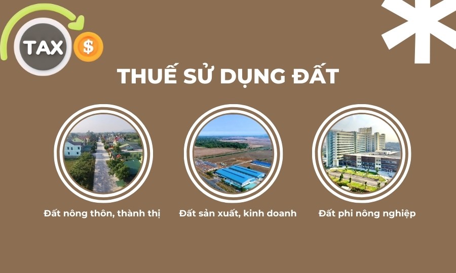 Thuế sử dụng đất