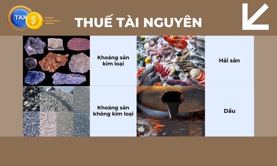 Thuế tài nguyên thuộc 1 trong các loại thuế ở Việt Nam
