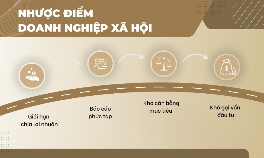 nhược điểm của việc thành lập doanh nghiệp xã hội