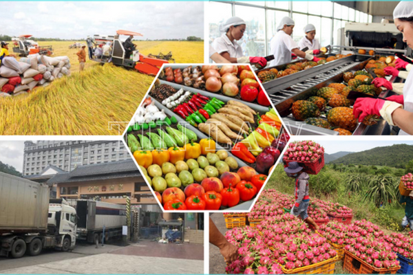Công ty xuất khẩu nông sản có thể hoạt động dưới hình thức công ty TNHH 1 thành viên Công ty xuất khẩu nông sản có thể hoạt động dưới hình thức công ty TNHH 1 thành viên