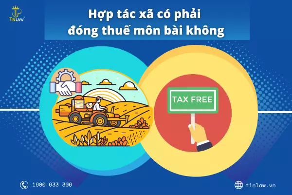 Hợp tác xã có phải đóng thuế môn bài không? Câu trả lời là không
