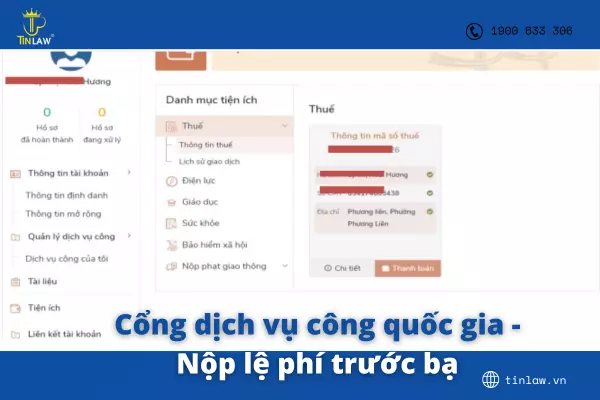 Bảng thông tin khi nộp thuế điện tử lệ phí trước bạ