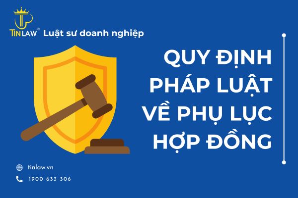 Một số quy định quan trọng về phụ lục hợp đồng