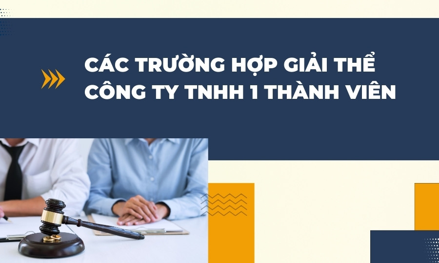 trường hợp giải thể công ty TNHH 1 thành viên