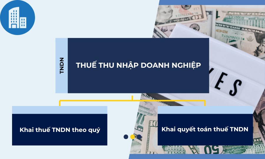 các việc cần làm sau khi thành lập công ty