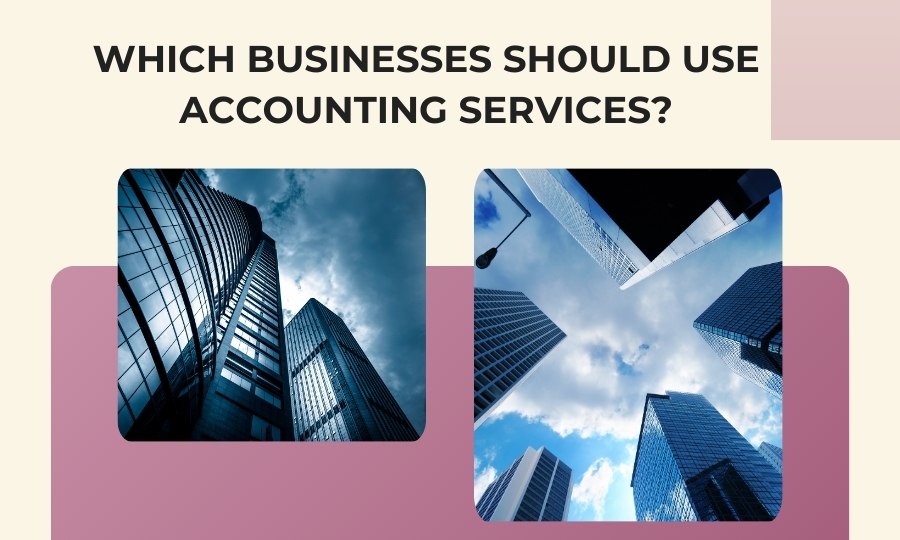 Which businesses should use accounting services?