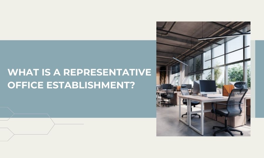 What is a representative office establishment?